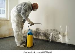 Reliable Melrose Park, IL Mold Remediation Solutions